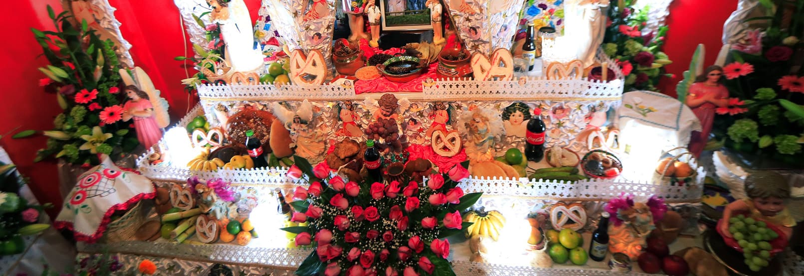 RUTA DEL VOLCAN Y LAS FLORES EN PUEBLA